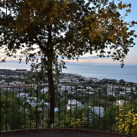 Hotel La Capannina - & Ischia